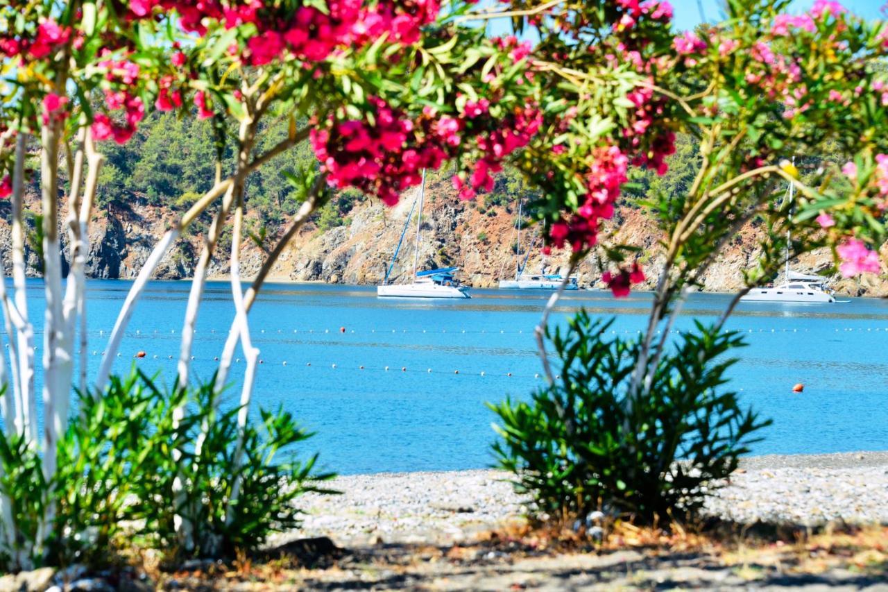 Vila Santana Gocek Göcek Exteriér fotografie